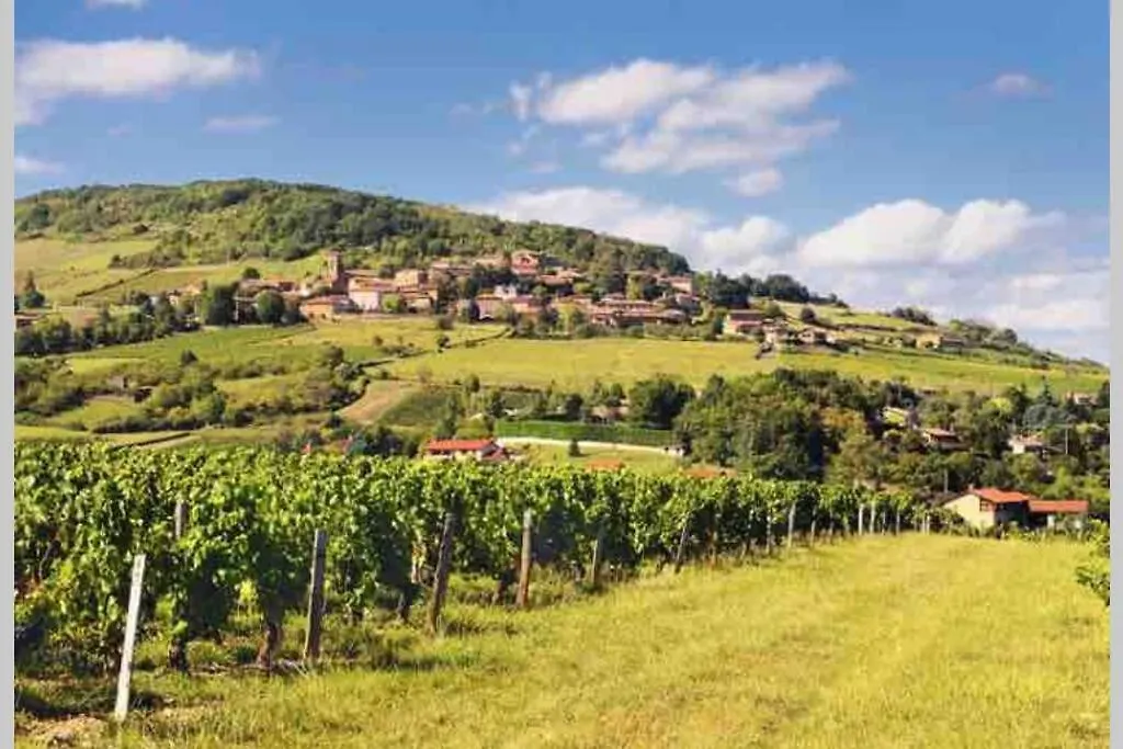 Appartamento Superbe Appartement Cosy Au Coeur Du Beaujolais Odenas Francia